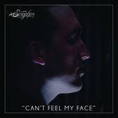 Seraphim (USA-2) : Can't Feel My Face